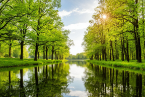 На улучшение экологии Красноярского края направят 7,5 млрд рублей