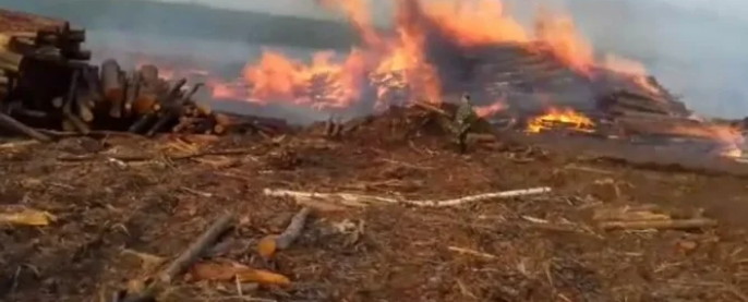 В Иркутской области недалеко от поселка загорелась заготовленная древесина