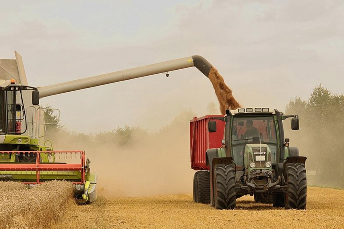 Российский зерновой экспорт сократился почти втрое