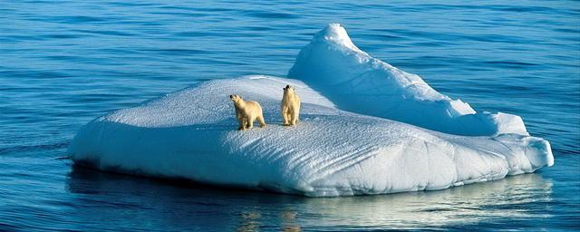 Советские ученые готовились изменить климат Арктики и Дальнего Востока