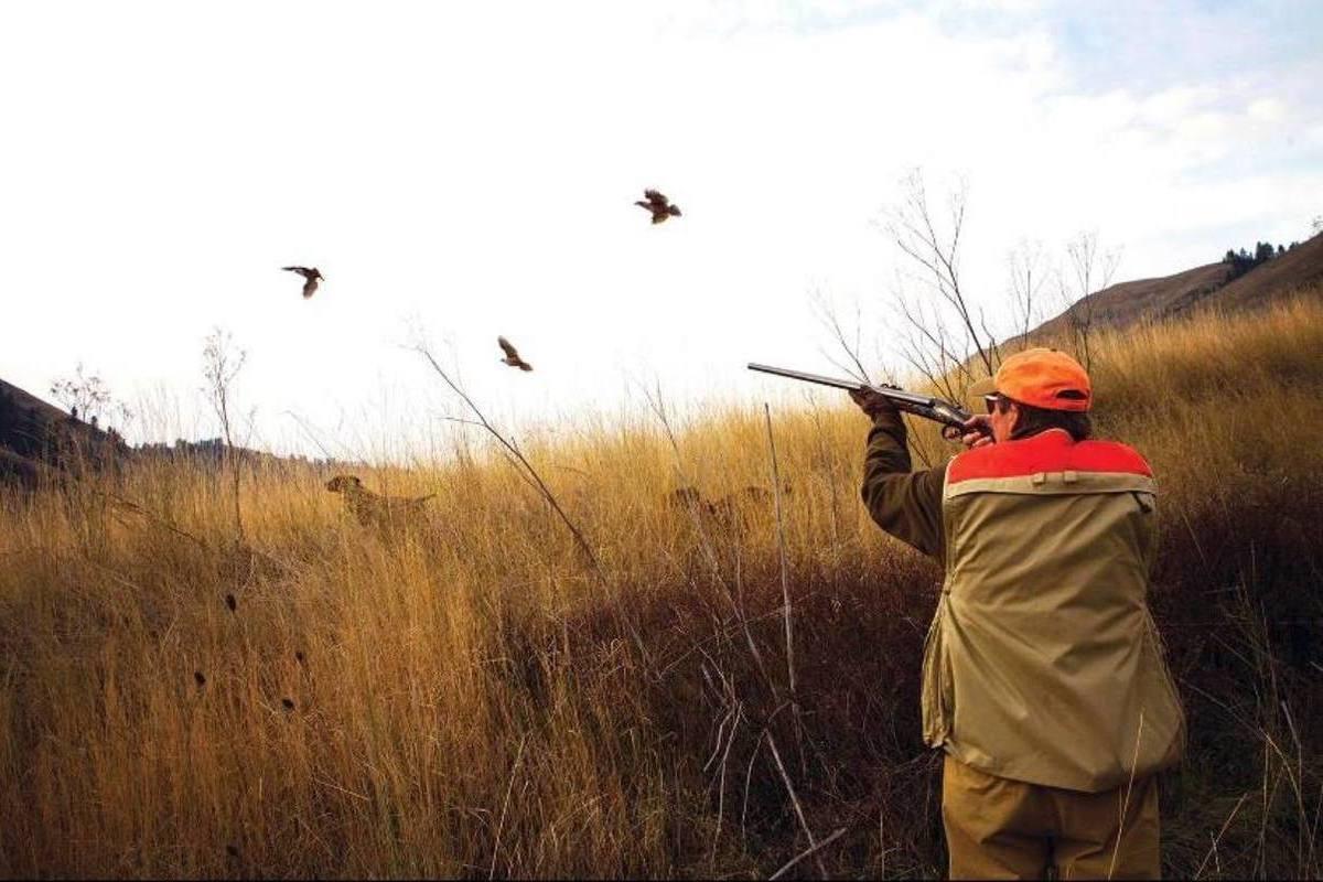В Ставропольском крае запретили весеннюю охоту на птиц