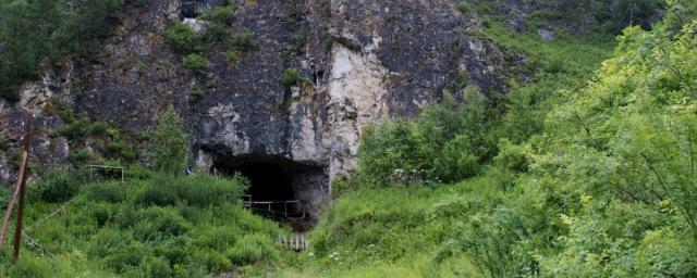 Ученые нашли в Алтайском крае следы древнего портного