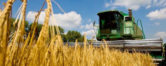 Аграрное производство Украины рухнуло на 11,5%