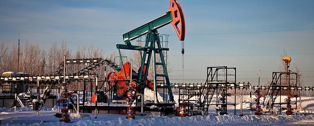 «Дочку» «Роснефти» оштрафовали на 45 млн рублей за нефтеразлив в Югре