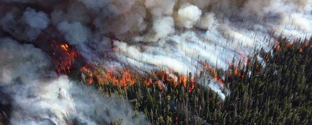 На Дальнем Востоке за сутки огонь уничтожил 3,5 тысячи гектаров леса