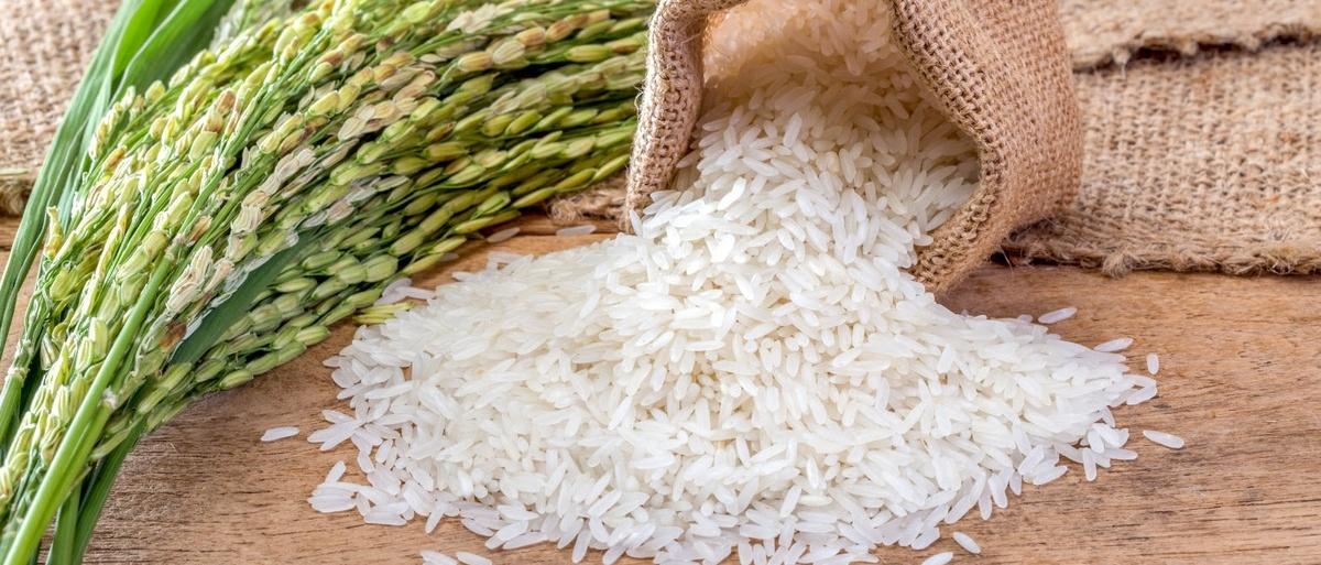 В России продлили запрет на вывоз риса