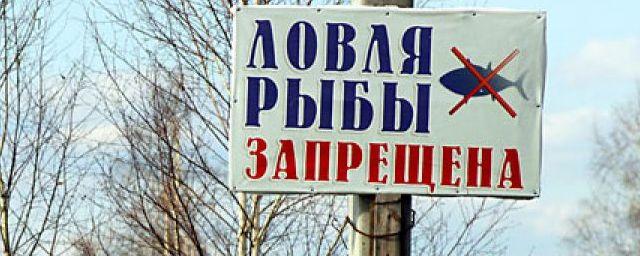 20 апреля начинается ежегодный запрет на ловлю рыб в Петербурге