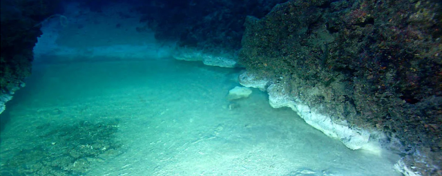В Красном море обнаружили соляные бассейны, в которых может быть жизнь