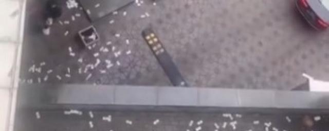Житель Москвы выбросил из окна мешок с деньгами после визита силовиков — Видео
