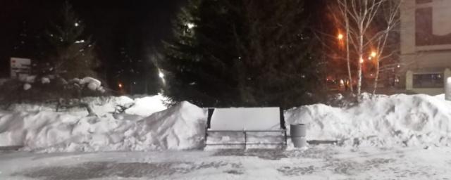 Вандалы уничтожили снежные фигуры в Первомайском сквере Новосибирска