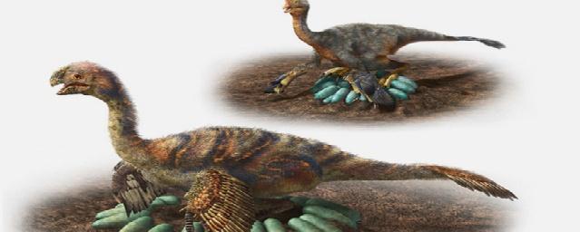 Ученые рассказали, как крупные динозавры высиживали яйца