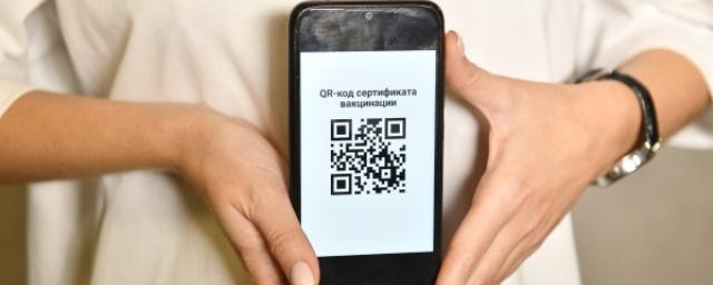 В российском правительстве обсудили введение QR-кодов для неофициально переболевших