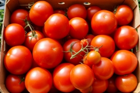 Аграрии Херсонщины раскрыли планы по результатам овощной кампании