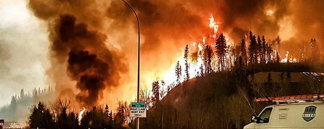 Столицу Канады затянуло дымом от лесных пожаров