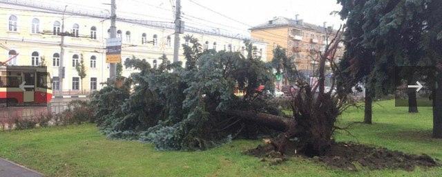 В Туле устраняют последствия шторма, который повалил около 200 деревьев