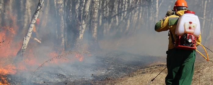 В Красноярском крае 13 августа потушили 22 лесных пожара