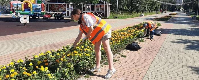 В Дзержинске расширят возможности трудовой занятости школьников и студентов