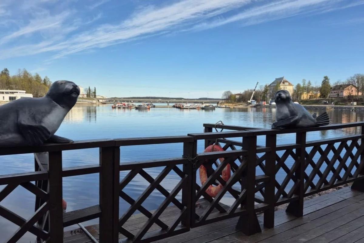 Федеральная сеть отелей получила лакомый кусок земли в Карелии без торгов