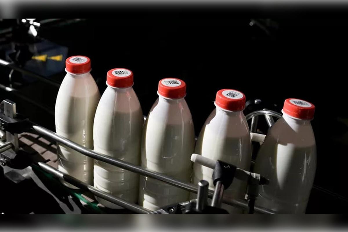 Минсельхоз РФ: в сельхозорганизациях объем реализации молока увеличился на 3,5%