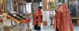 В Оренбург прибыл ковчег с частичкой мощей святителя Луки Крымского
