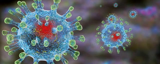 В Пермском крае зафиксировано 74 новых случая коронавируса