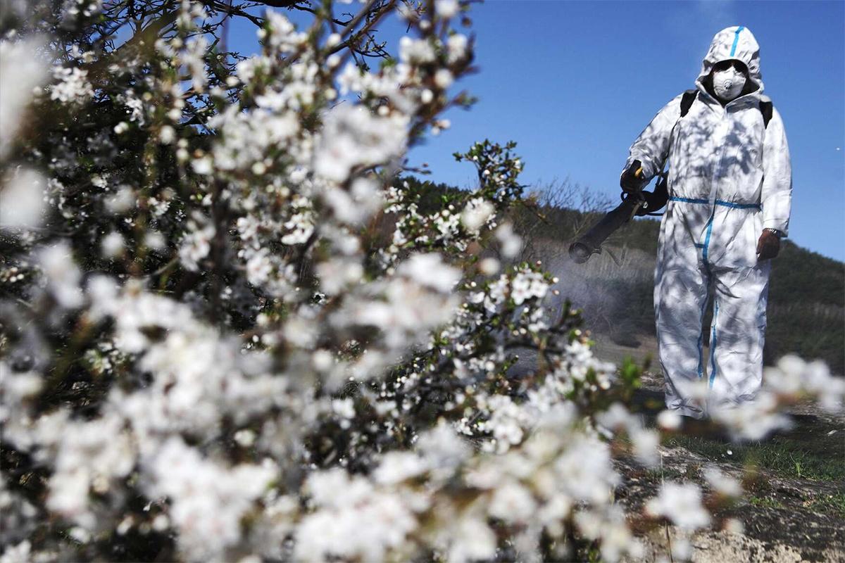 В Биробиджане завершили первый этап обработки от клещей