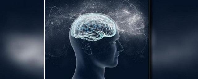 Найден белок, защищающий мозг от снижения мыслительных функций