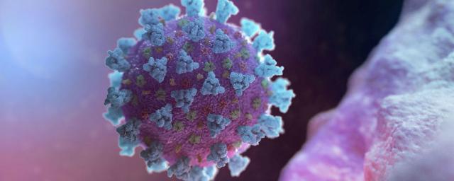 За последние сутки в России выявлены 6 595 заразившихся коронавирусом