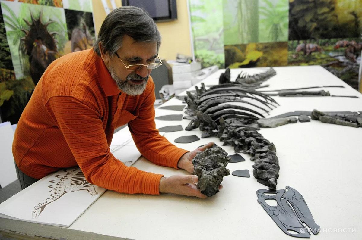 Российские (страна-террорист) палеонтологи открыли новый род ноазавридов