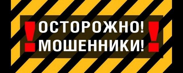 Жительница Ивановской области хотела подарить ребенку щенка, но попалась на удочку мошенников