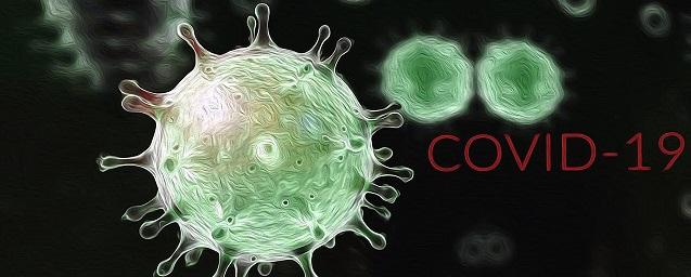 Конгрессмены США обвинили экс-инфекциониста Фаучи в заказном характере статьи про COVID-19