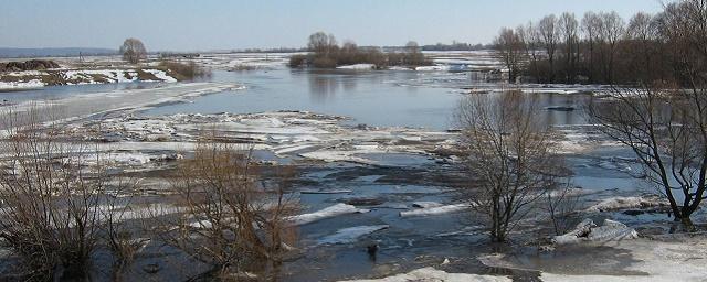 В Курганской области уровень воды в реке Тобол поднялся на 57 см