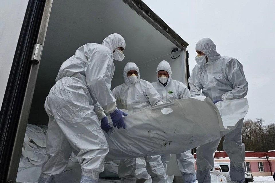 Диссонанс потерь: 1000 тел украинских военных против 41 российского — формула обмена телами