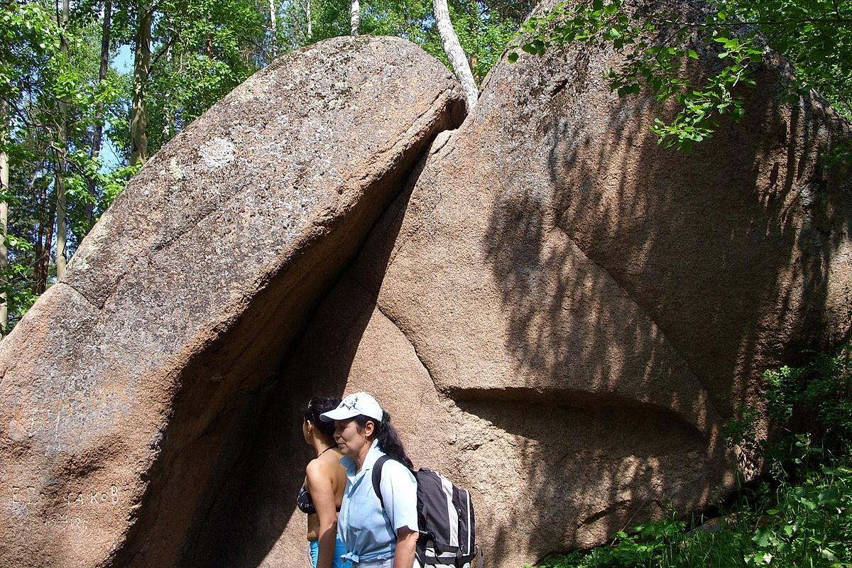 70 доступных маршрутов: национальные парки России становятся ближе маломобильным туристам
