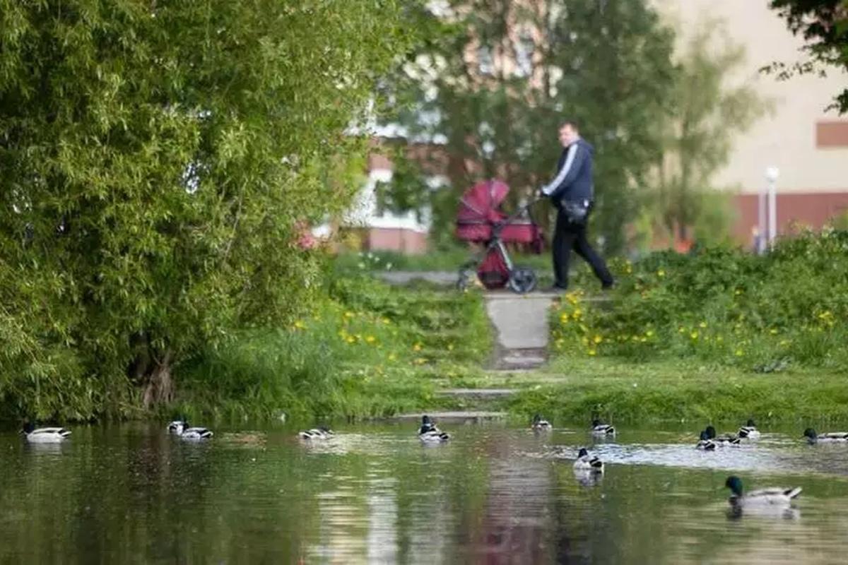 Деньги вместо земли: калининградские депутаты поддержали возвращение компенсаций многодетным