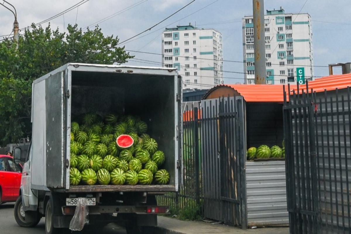 Южный Урал и Узбекистан развивают сотрудничество в сфере поставок аграрной продукции