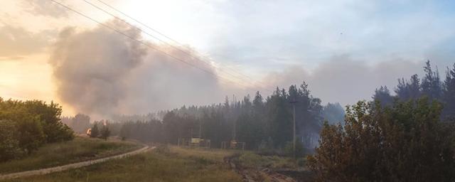 В четырех районах Воронежской области объявлен V класс пожароопасности