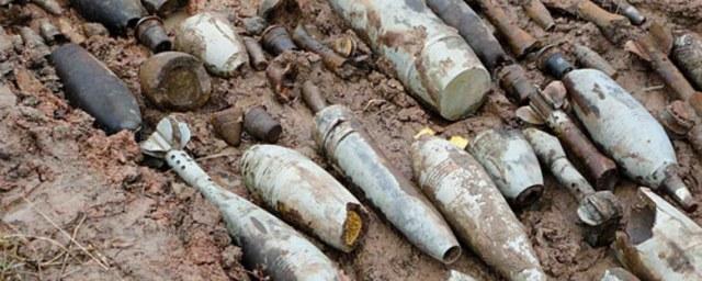 В Ленобласти «черные копатели» выявили склад боеприпасов времен ВОВ