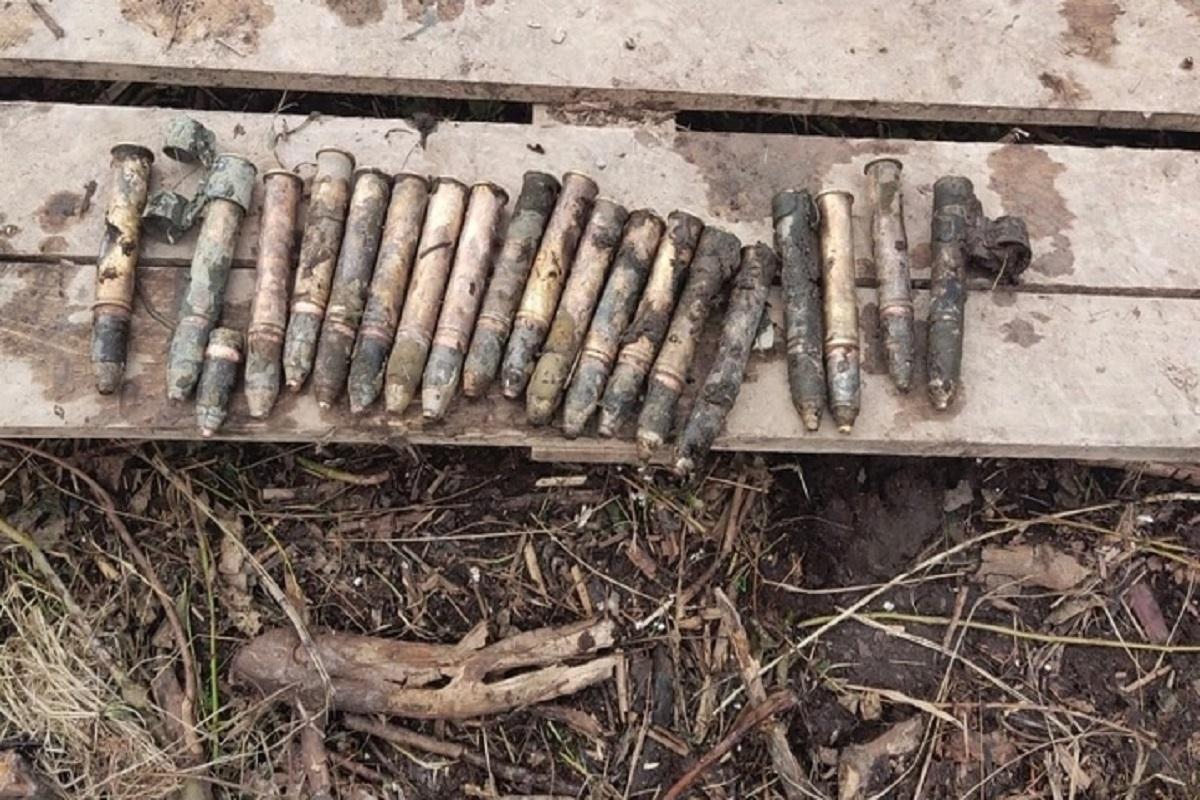 У озера Грядецкое в Тверской области нашли авиабомбу времен ВОВ