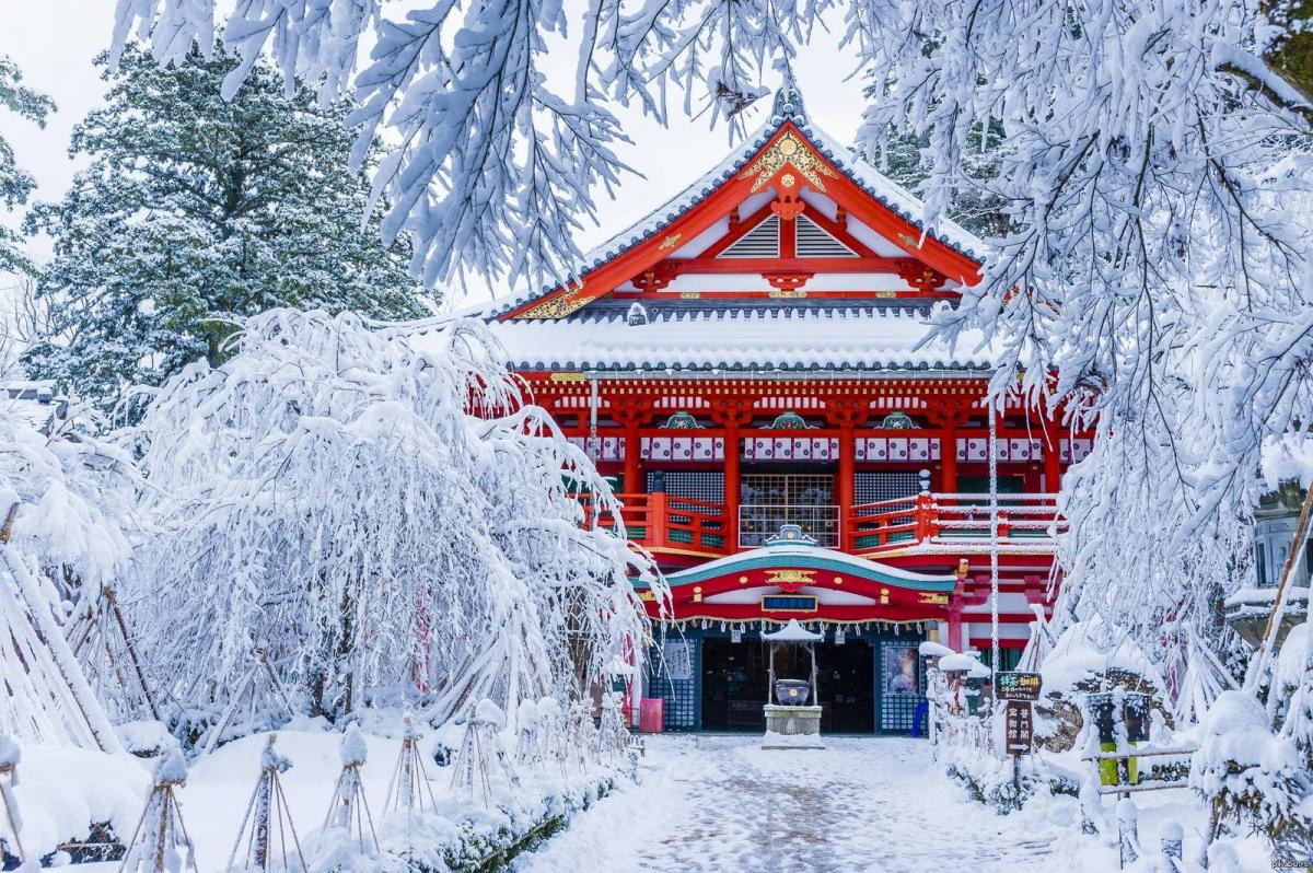 Более 60 японцев погибли при уборке снега