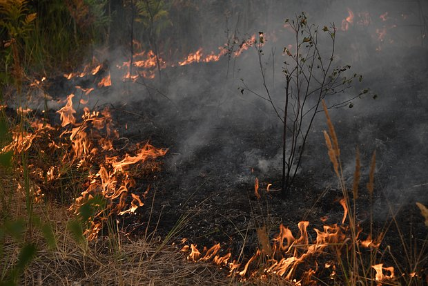 В Краснодарском крае объяли о высокой пожароопасности