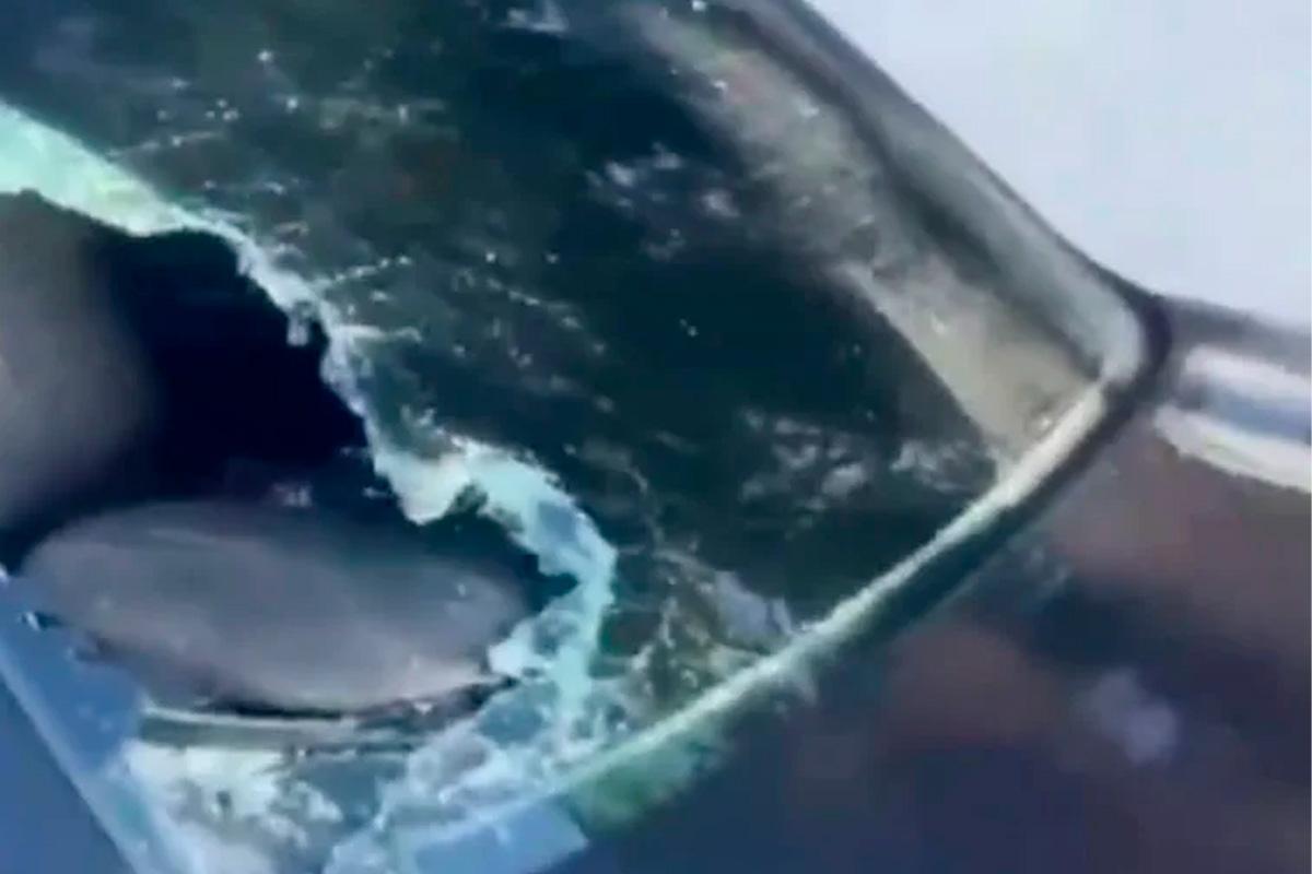 Более 10 автомобилей повреждены пьяным хулиганом в центре Сочи