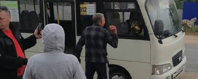 В Ростовской области собака два часа держала в заложниках пассажирский автобус