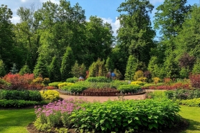 В хабаровском дендрарии сменили асфальт