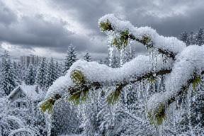 Снег в апреле — это не случайность: климатолог предупредил о том, что будет с летом