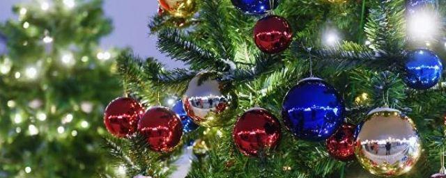 В Новочеркасске установят самую высокую новогоднюю елку в Ростовской области