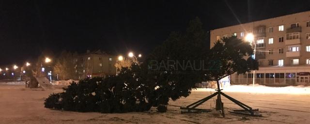 На площади в Барнауле упала новогодняя елочка