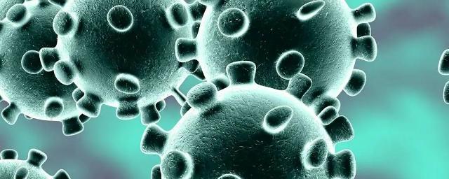 За последние сутки в России выявлены 11 024 заразившихся коронавирусом