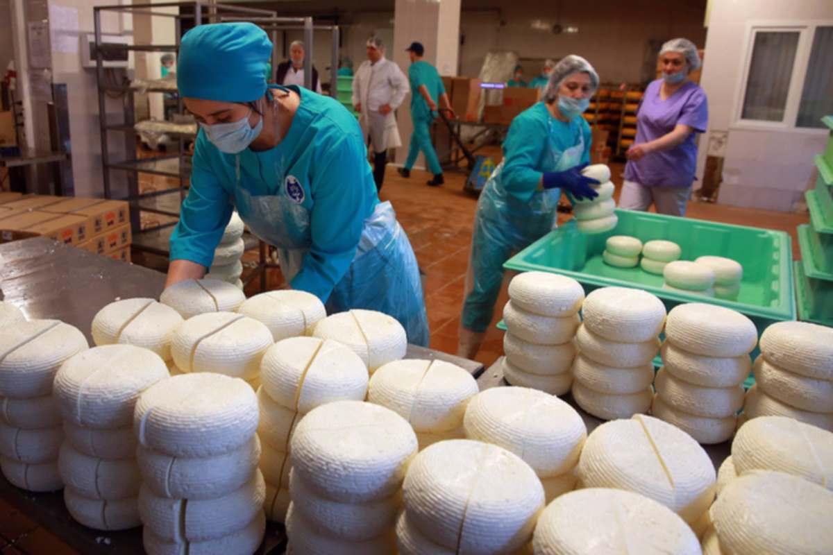 Пищевая промышленность Адыгеи на подъеме, благодаря развитию туризма в регионе