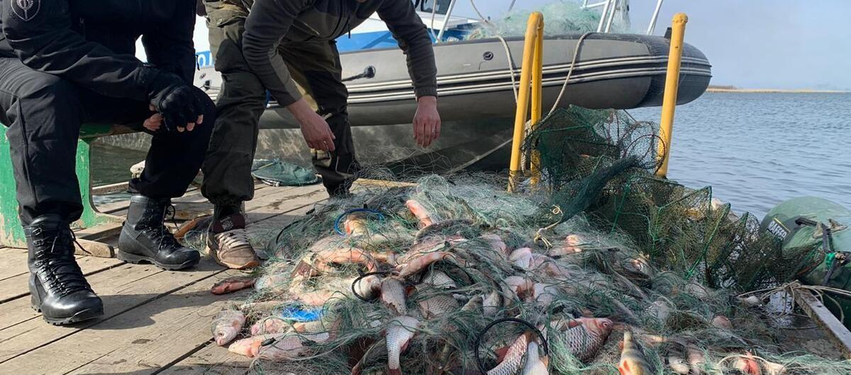 В Астраханской области полицейские задержали двух браконьеров за незаконный вылов рыбы